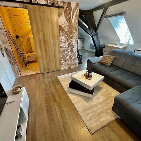 Logement Entier Au Coeur De Strasbourg Luaran gambar