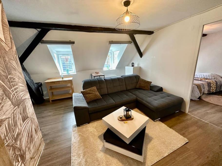 Logement Entier Au Coeur De Strasbourg Luaran gambar